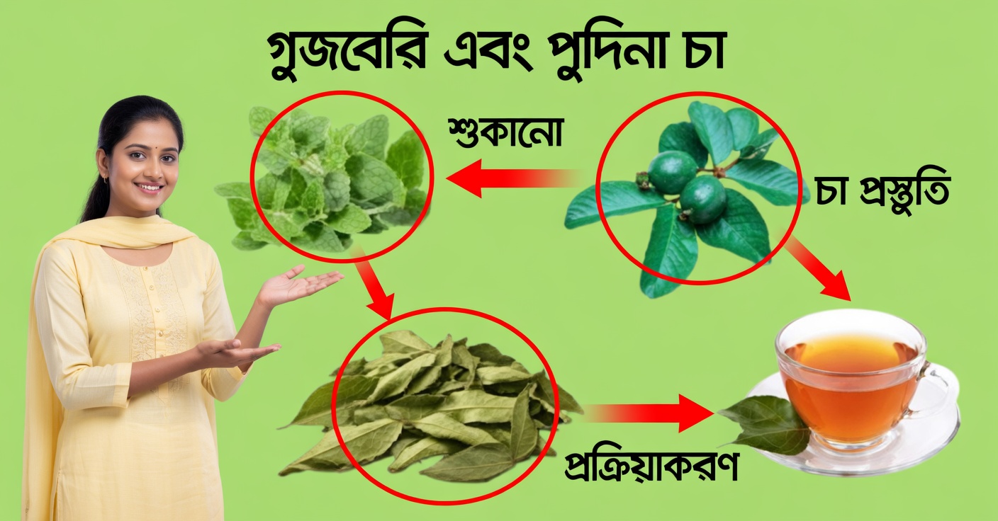 পেয়ারার ভেষজ চা: লিভার পরিষ্কার করে ও রক্তচাপ নিয়ন্ত্রণে রাখে