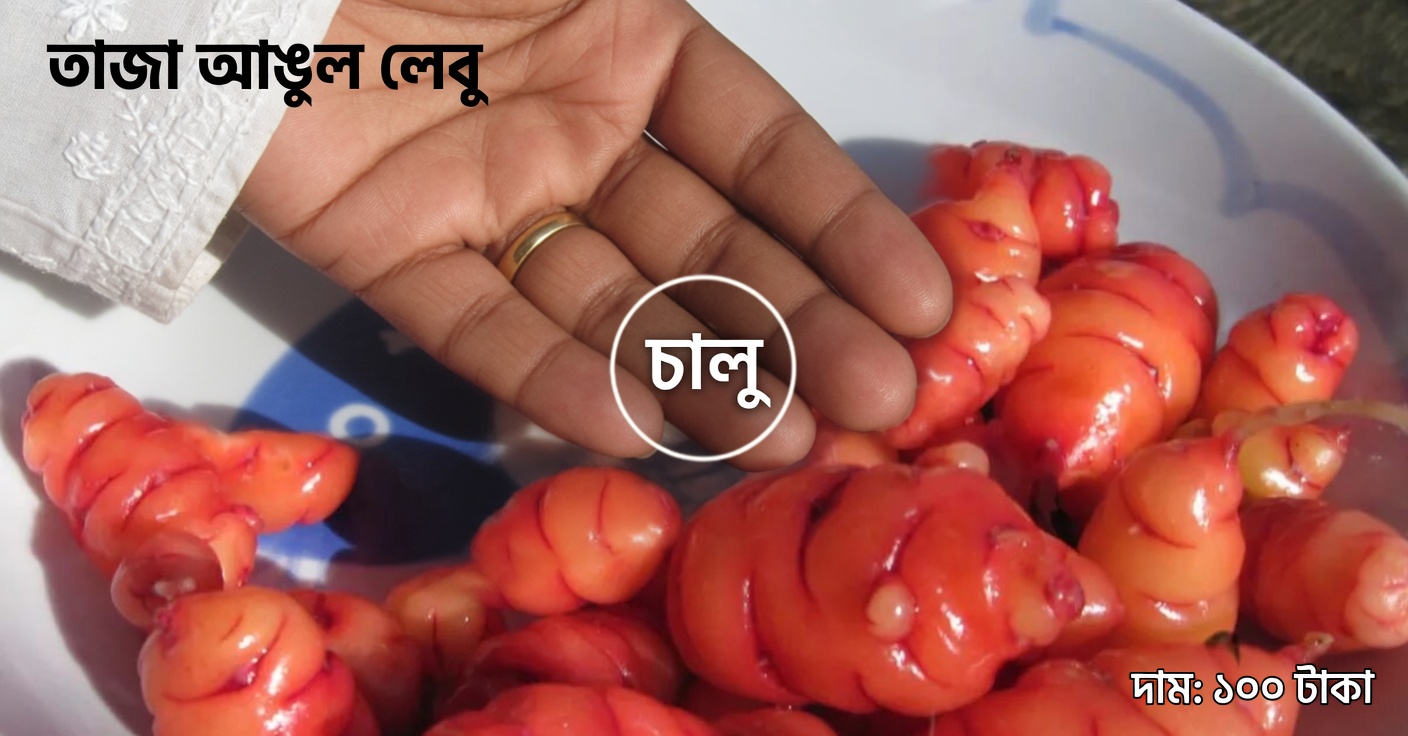 হিবিস্কাস চায়ের প্রাকৃতিক ওজন কমানোর উপকারিতা আবিষ্কার করুন