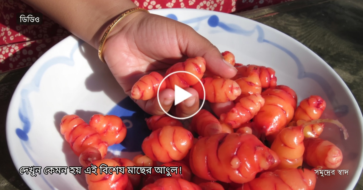 হিবিস্কাস চায়ের প্রাকৃতিক ওজন কমানোর উপকারিতা আবিষ্কার করুন