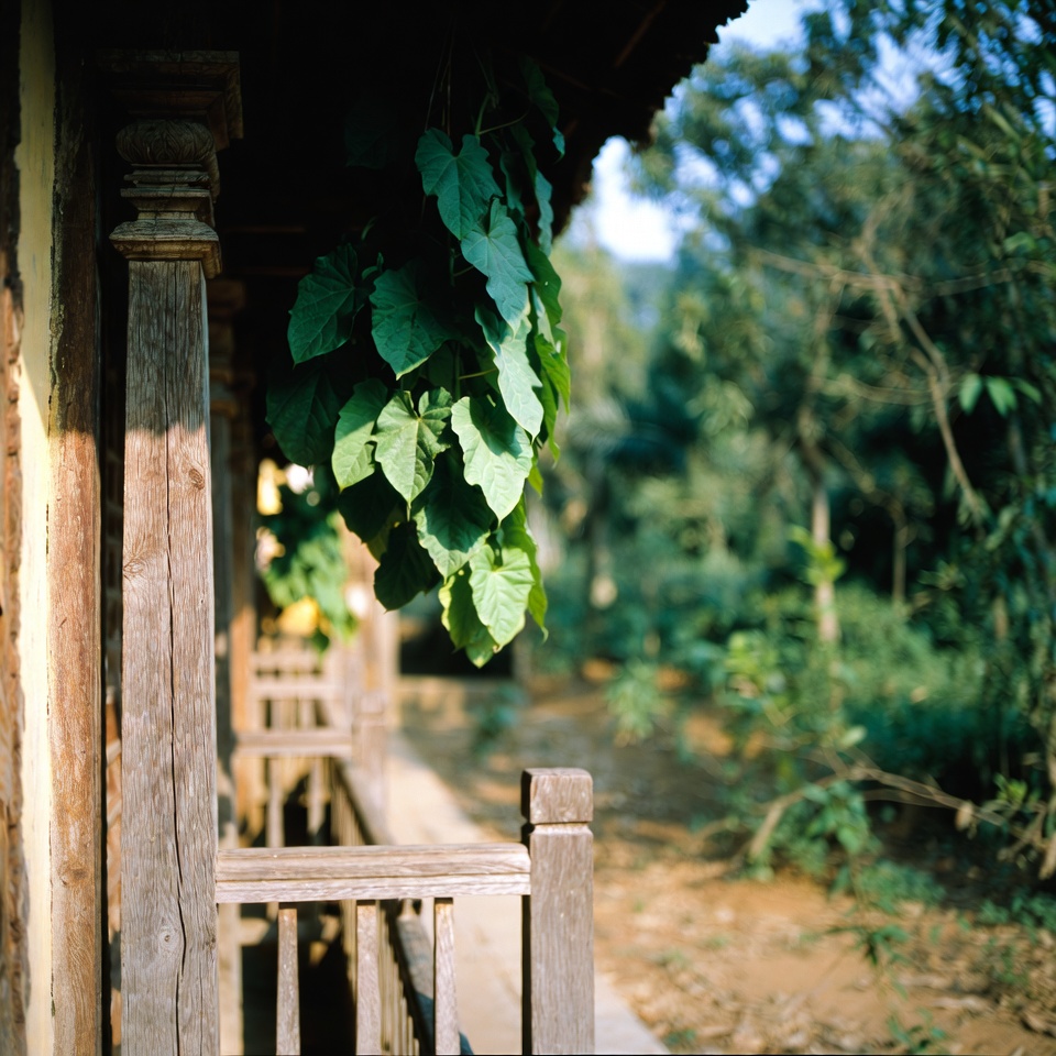 মাত্র ৫ দিনেই ৯০ বছরের দাদীর ৩০ বছর কম বয়সী দেখানোর গোপন রহস্য: ঘরোয়া উপায়ে মুখের ত্বক টানটান করার পদ্ধতি