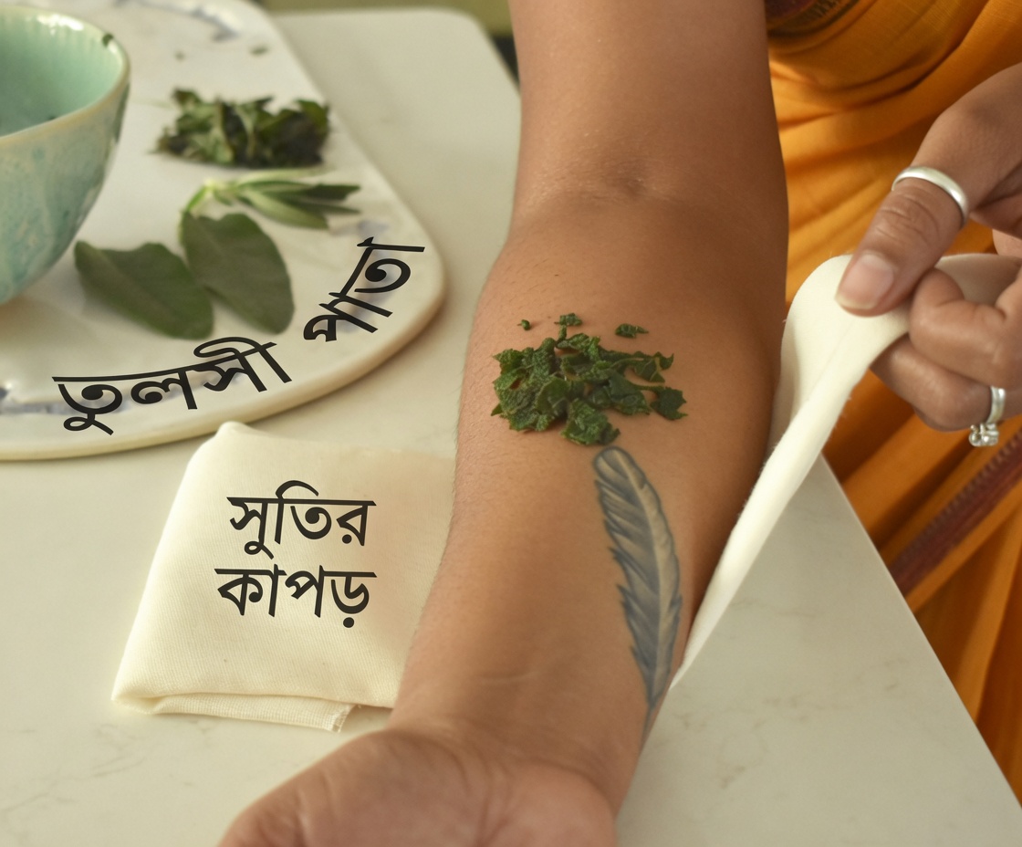 সিডা অ্যাকিউটার ৬+ স্বাস্থ্য উপকারিতা উন্মোচন: শক্তিশালী আরোগ্যক্ষমতাসম্পন্ন প্রাকৃতিক প্রতিকার