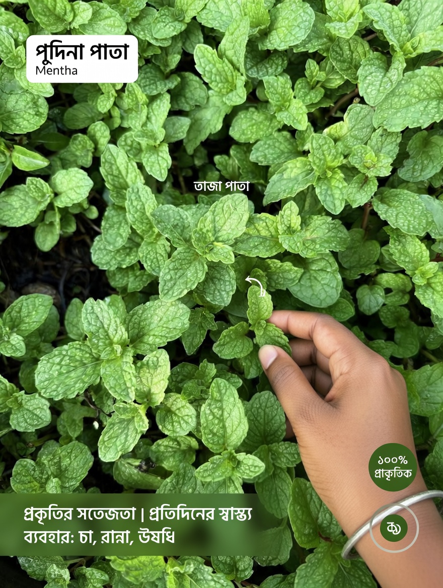 প্রাকৃতিক জরুরি কিট যা ২০২৬ সালে সবার ঘরে থাকা উচিত