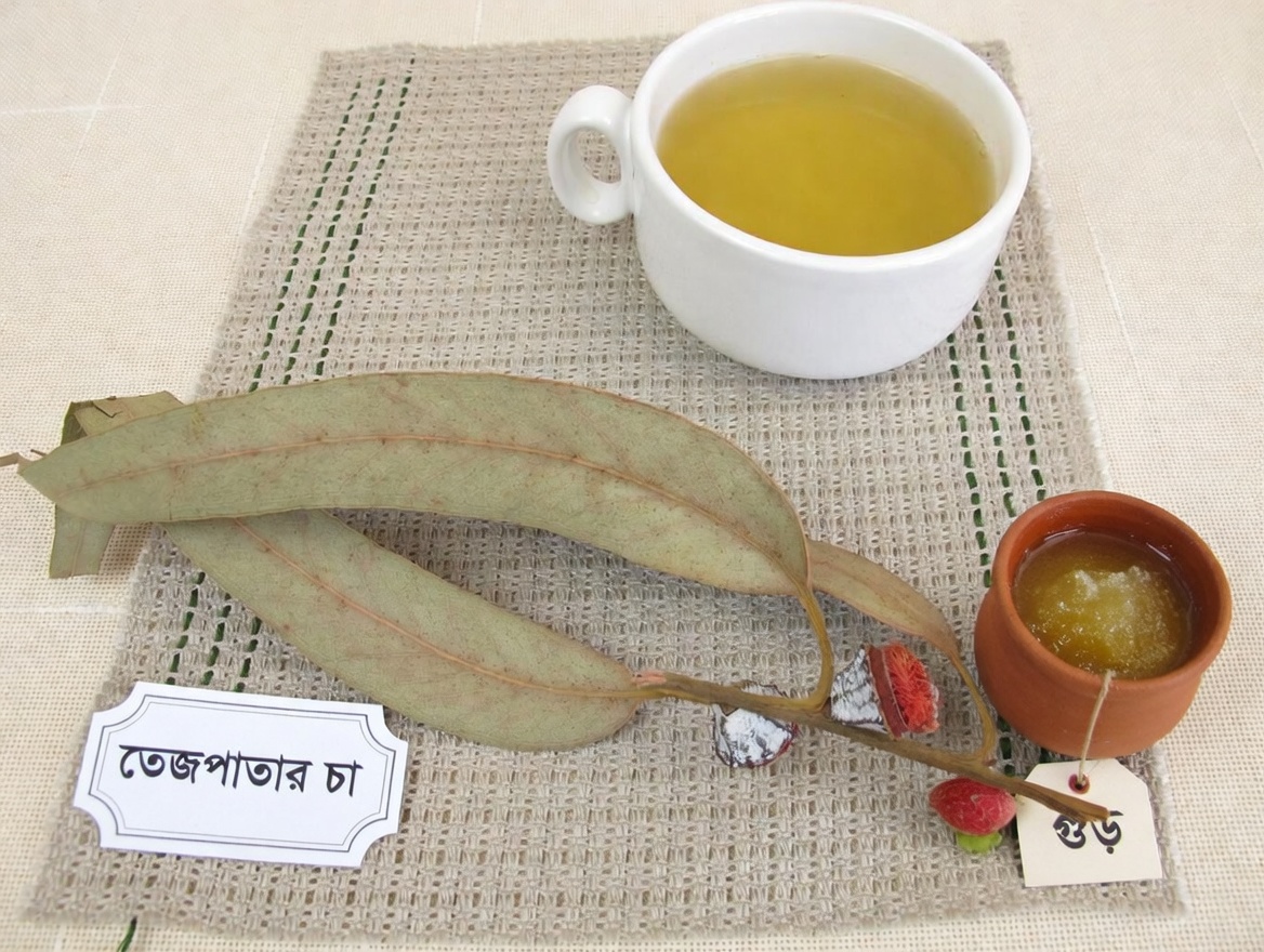 ইউক্যালিপটাস চা – কী কাজে লাগে? – আপনার স্বাস্থ্য ও সৌন্দর্যের উপকারিতা