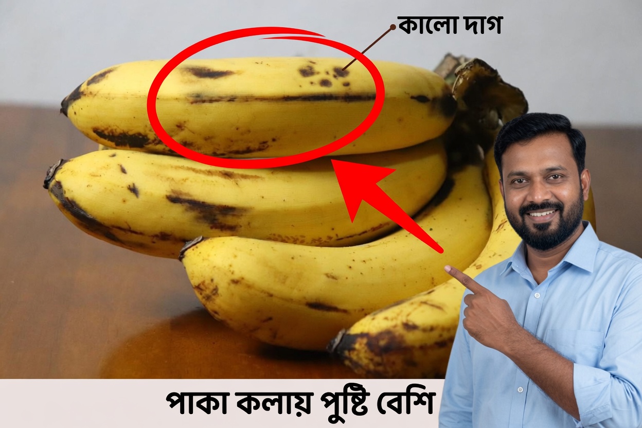 ৬০-এর পর আপনার পেশী রক্ষা করে এমন ৭টি রাতের ফল (প্রাকৃতিকভাবে সারকোপেনিয়া রোধ করুন)