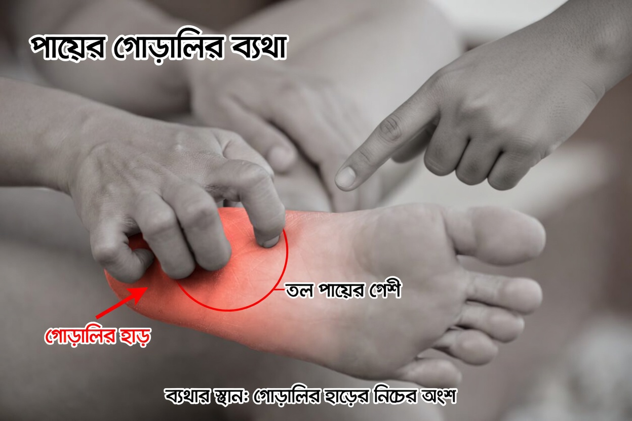 চোখ আর পা থেকেই শুরু! ভিটামিন বি১২ কমে যাওয়ার ৯টি লক্ষণ (অনেক ডাক্তার এটাকে উপেক্ষা করেন)