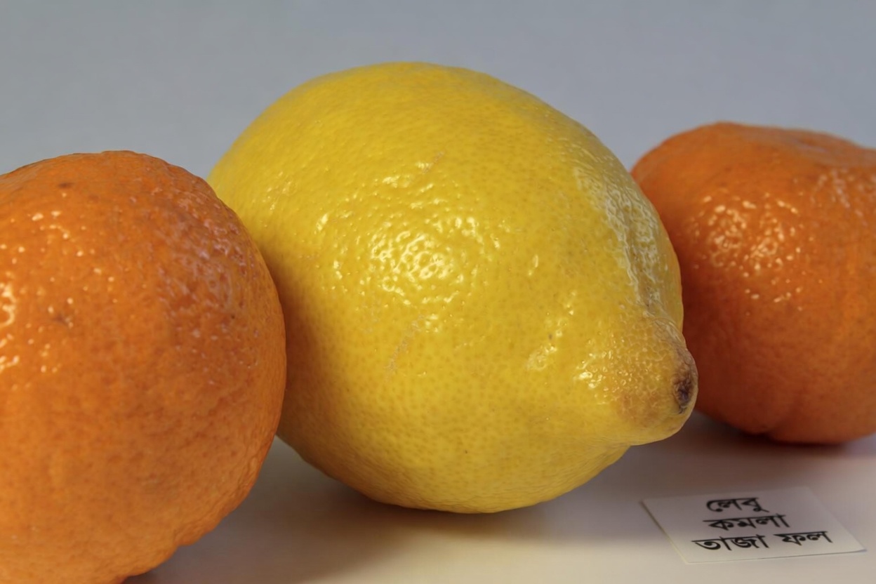 অর্থোপেডিক চিকিৎসকের প্রকাশ করা গোপন রহস্যে মাত্র ২৪ ঘন্টায় তোমার কার্টিলেজ পুনরুজ্জীবিত করো