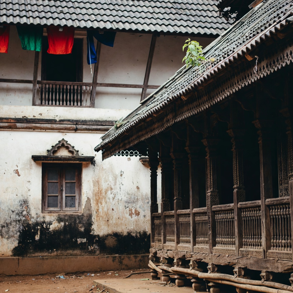 এটা প্রোটিন নয়! সারকোপেনিয়ার বিরুদ্ধে লড়াই করা ১ নম্বর খনিজ
