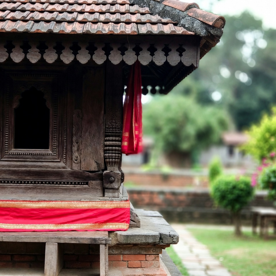 মাত্র ১টি ভেষজেই কমান আপনার প্রোস্টেটের বর্ধিত আকার! | Miactive