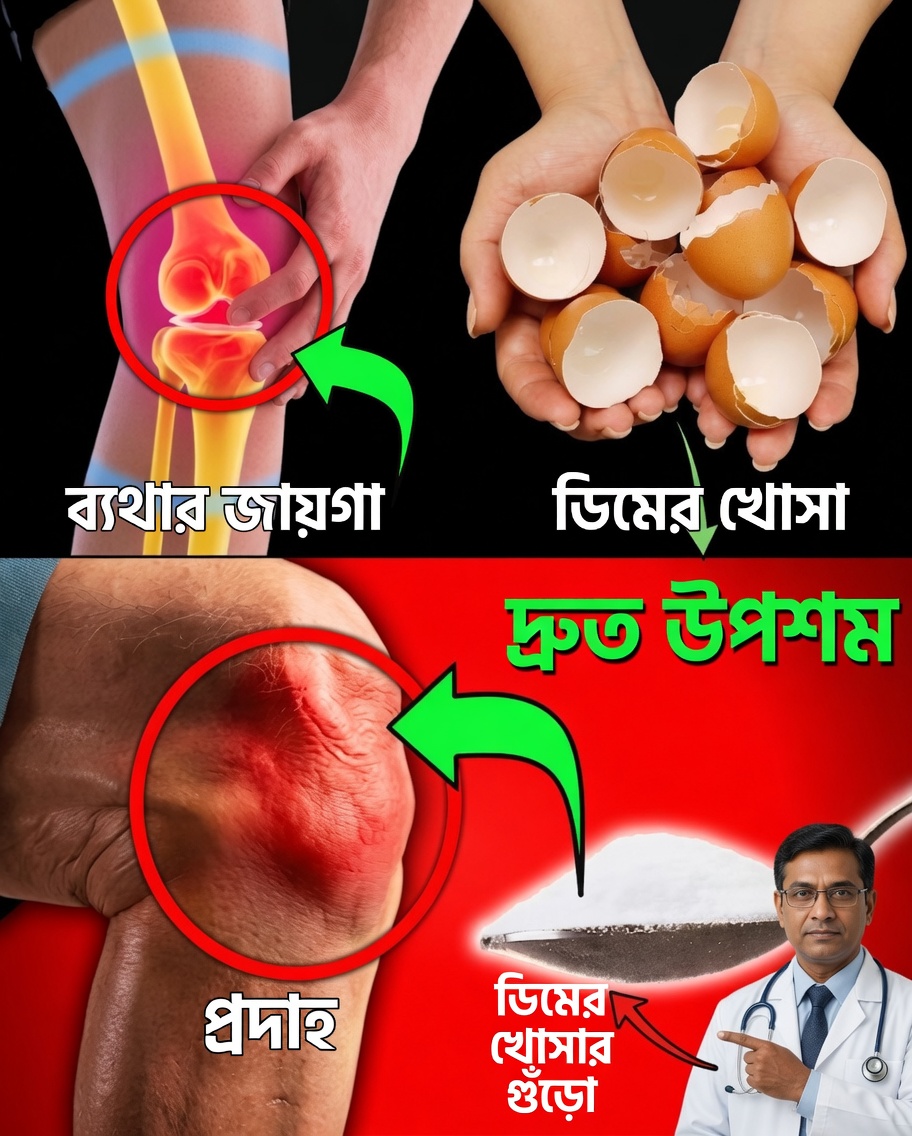 ডিমের খোসা ফেলে দেবেন না: শক্তিশালী স্বাস্থ্য ও আরও সবুজ ঘরের জন্য একটি সহজ প্রাকৃতিক গোপনীয়তা