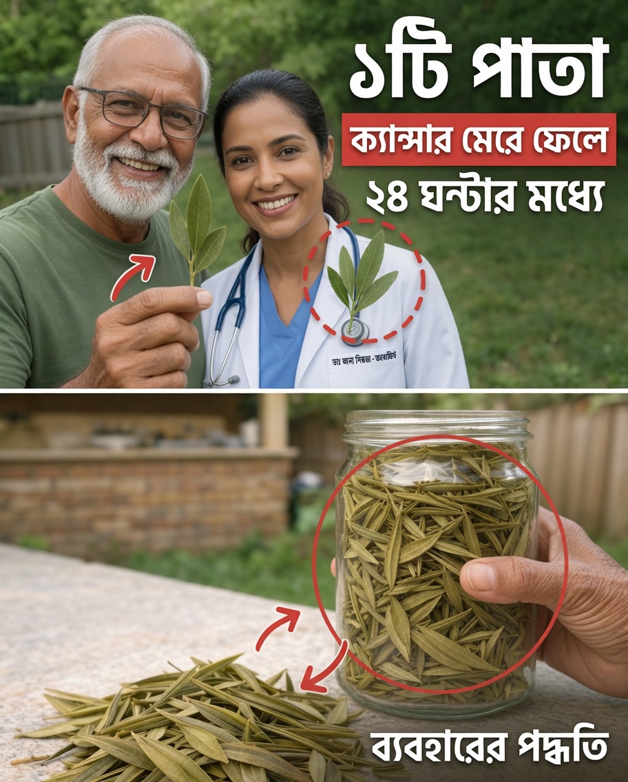 যে পাতাটি সবার নজর কাড়ছে: গ্রাভিওলা পাতার অন্বেষণ ও সুস্থতায় এর সম্ভাবনা