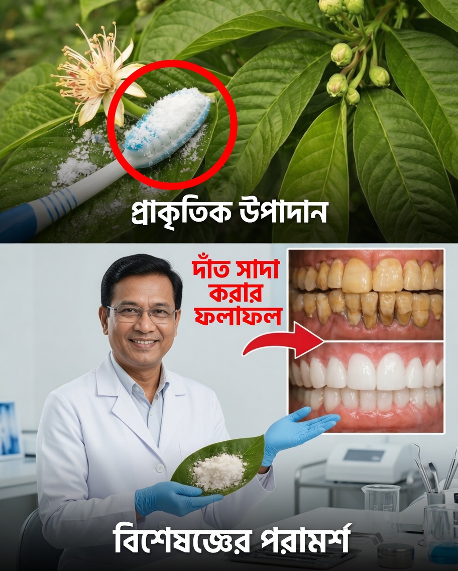 গুয়াভা পাতার সাহায্যে দাঁতের ক্ষয় চিকিৎসার শীর্ষ ৩টি উপায় – সহজ ও সাশ্রয়ী