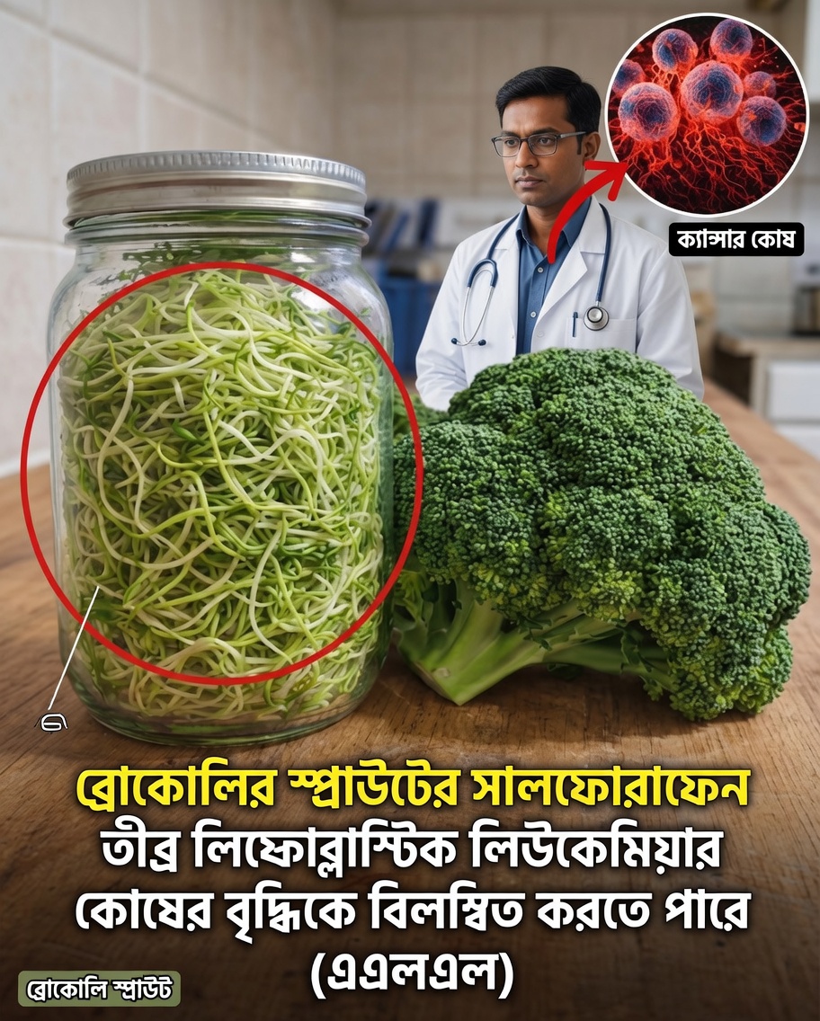 একটি সাধারণ উদ্ভিদের একটি যৌগ কি তীব্র লিম্ফোব্লাস্টিক লিউকেমিয়ার সহায়তায় নতুন দৃষ্টিভঙ্গি আনতে পারে?