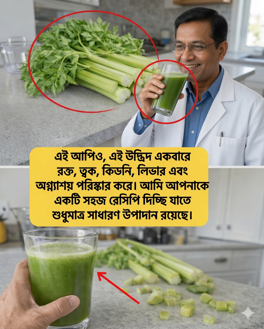 সেলারি জুস: এই সহজ সবুজ পানীয়টি কি আপনার শরীরের স্বাভাবিক ডিটক্সিফিকেশন প্রক্রিয়াকে সহায়তা করতে পারে?