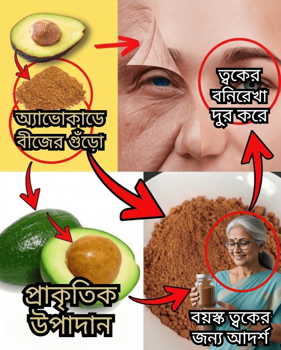 অ্যাভোকাডোর বীজ: গোপন সুপারফুড নাকি উপেক্ষিত ধন?