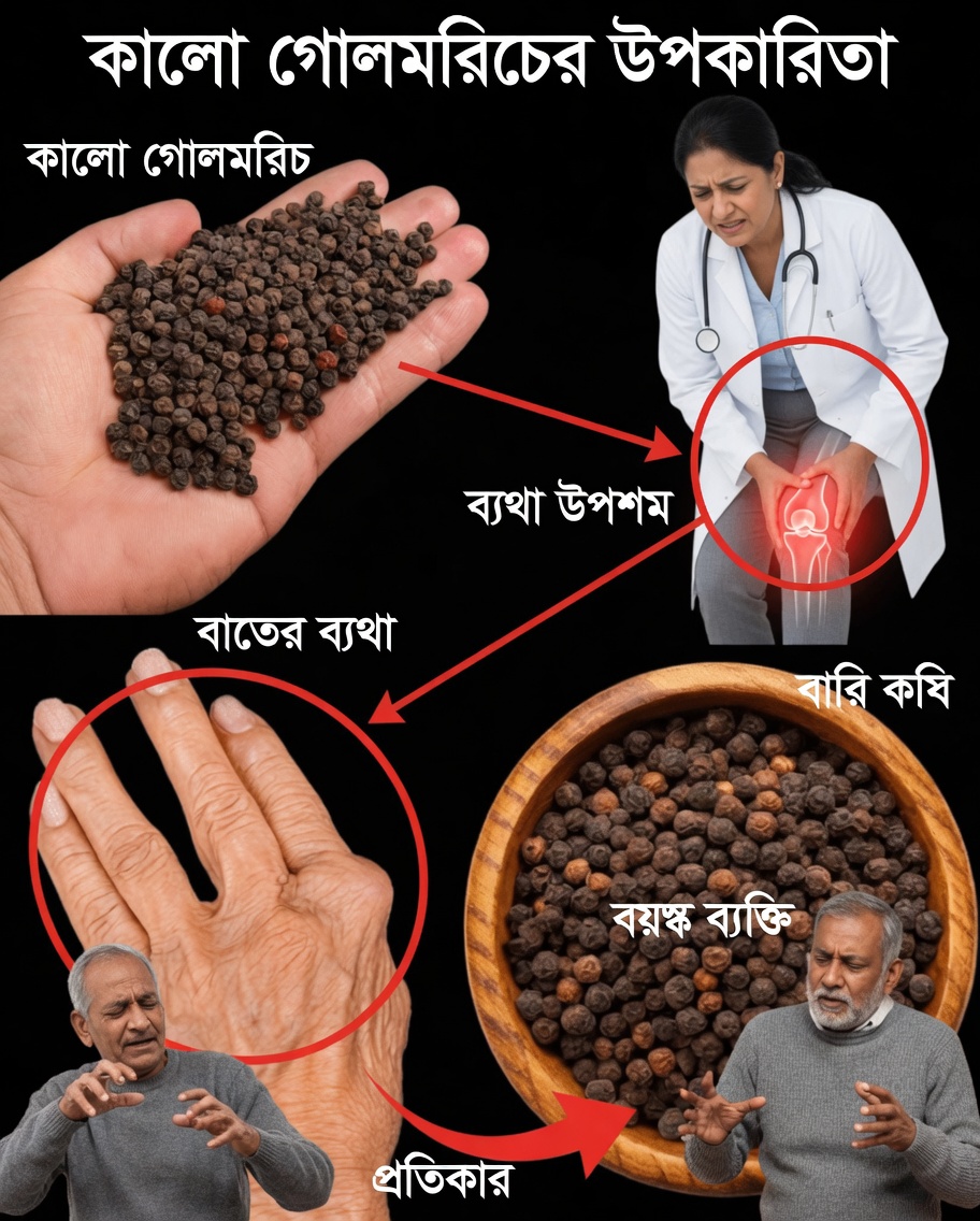 রসুন ও কালো মরিচ: পায়ের ব্যথা, আর্থ্রাইটিস এবং দুর্বল রক্তসঞ্চালন প্রশমনে একটি সহজ প্রাকৃতিক প্রতিকার