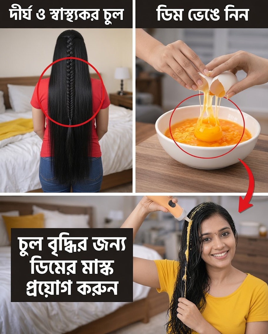 আমি ৩ দিন আমার চুলে ডিম ও অলিভ অয়েল ব্যবহার করেছি — দেখুন আসলে কী ঘটেছিল (এটা কি সত্যিই মূল্যবান, নাকি নয়?)