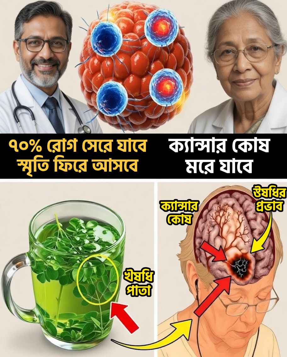 জাপানিদের দীর্ঘায়ুর রহস্য: ১০টি দৈনন্দিন খাবার যা আপনাকে তরুণ, উদ্যমী ও শক্তিশালী থাকতে সাহায্য করে