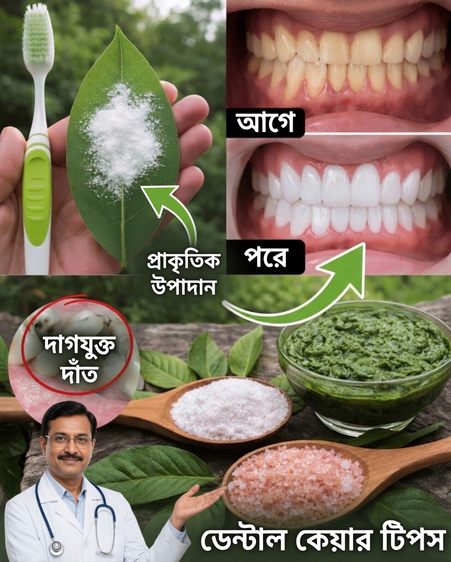 আপনার মুখের স্বাস্থ্যকে সহায়তা করতে পেয়ারা পাতার একটি সহজ প্রাকৃতিক কৌশল আবিষ্কার করুন