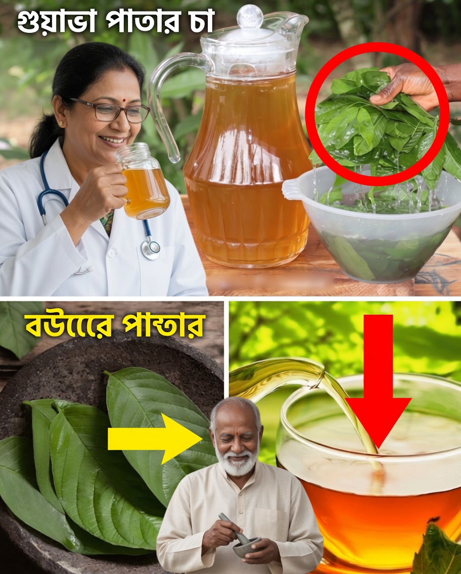 পেয়ারা পাতার চা: আপনার শক্তি, হজমশক্তি ও দীপ্তি পুনরুদ্ধারে একটি সহজ দৈনন্দিন রীতি