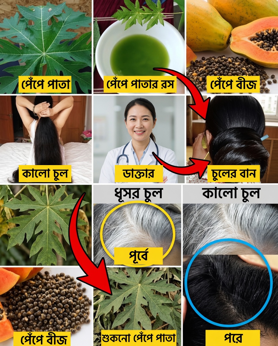 যৌবনদীপ্ত চুলের জন্য পেঁপে পাতা: আরও গাঢ়, শক্তিশালী ও দীপ্তিময় চুলের প্রাকৃতিক পথ