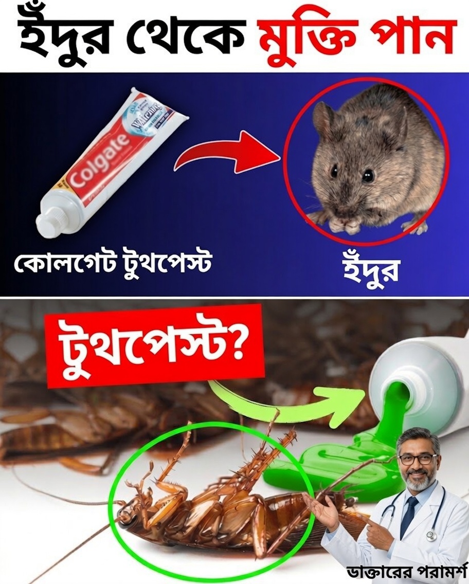 Hack Caseiro Surpreendente: টুথপেস্ট দিয়ে পোকামাকড় তাড়ান!