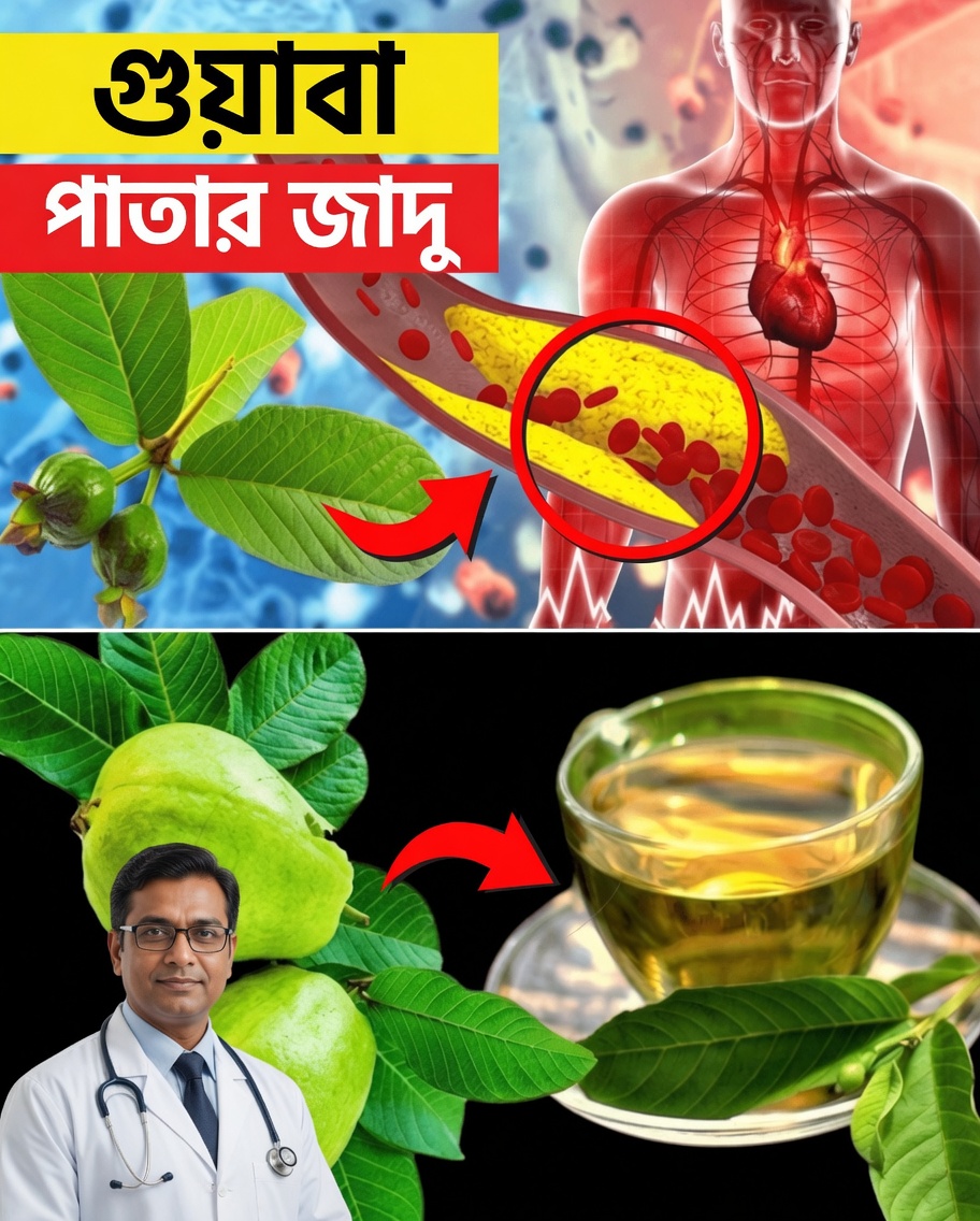 সপ্তাহে দু’বার পেয়ারা পাতার চা পান করার ১৭টি শক্তিশালী কারণ