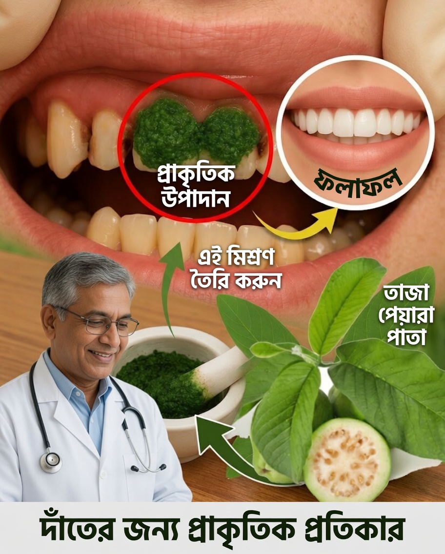 পাতা পেয়ারার ৩টি শক্তিশালী উপায় যেভাবে দাঁতের ক্ষয় রোধ করে