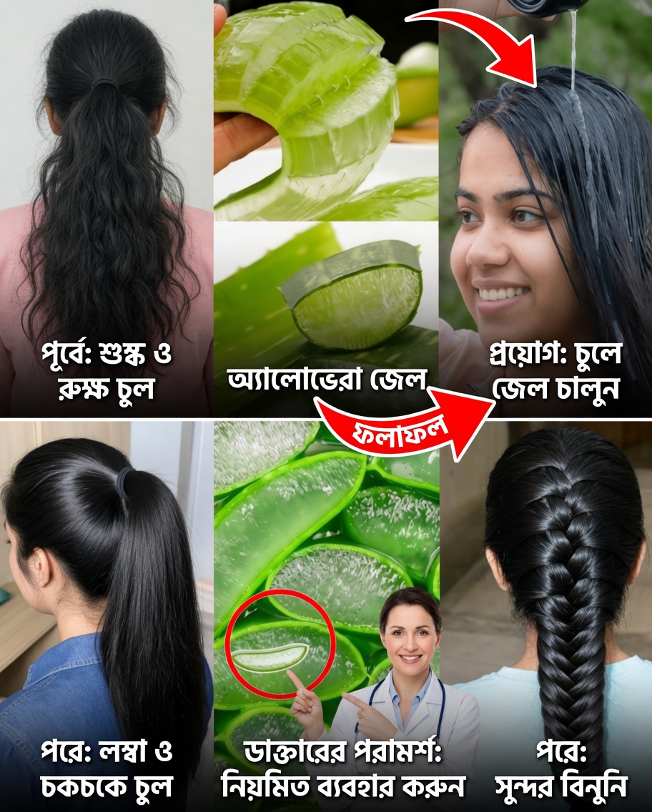 এই অ্যালো ভেরার গোপন রহস্য দিয়ে ঘন ও মোহনীয় চুলের রহস্য উন্মোচন করুন