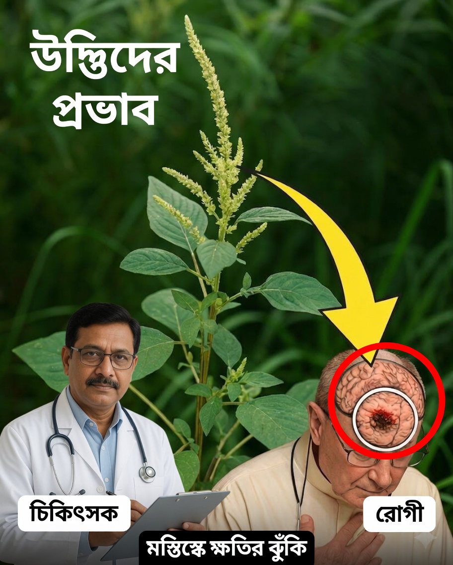 Amaranthus tuberculatus-এর শক্তি উন্মোচন করুন: যে “আগাছা” একটি পুষ্টিগুণের শক্তিঘর