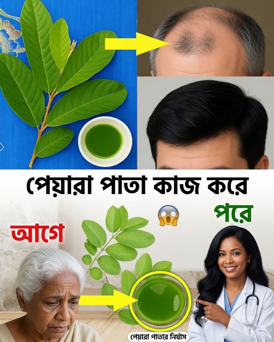 শিকড় থেকে ডগা পর্যন্ত: চুল নবায়নে পেয়ারা পাতার ব্যবহার