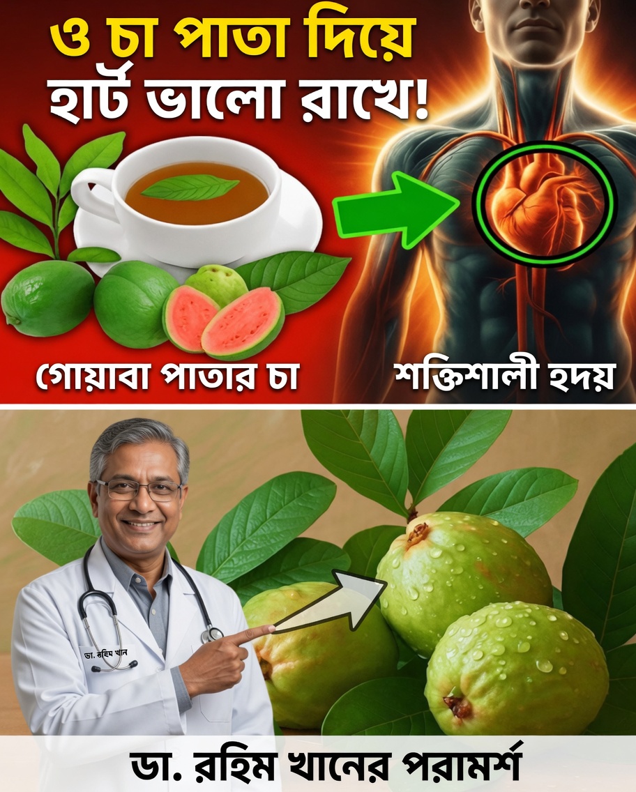 আধুনিক সুস্থতা আবার আবিষ্কার করছে পেয়ারা পাতার প্রাচীন গোপন রহস্য