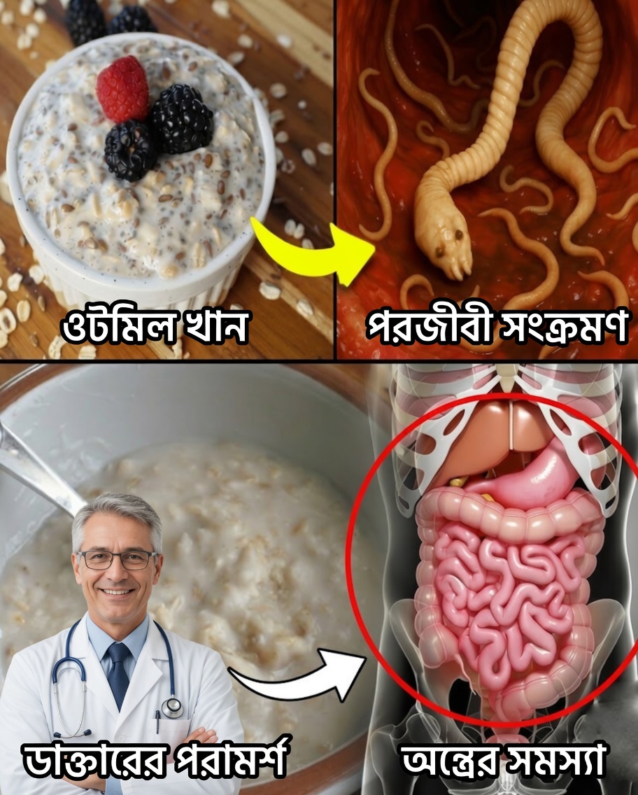 ৫০-এর পর সকালের নাশতায় সবচেয়ে বড় ভুলগুলোর একটি: এই ৭টি খাবারের সঙ্গে কখনোই ওটমিল মেশাবেন না