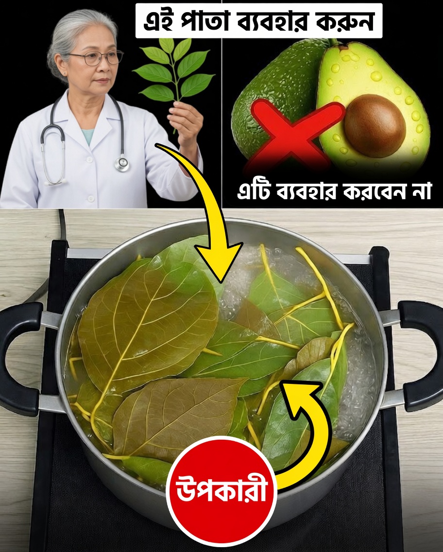 অ্যাভোকাডো পাতার রহস্য উন্মোচিত: প্রাকৃতিক সুপারফুড, যা প্রায় কেউই ব্যবহার করে না