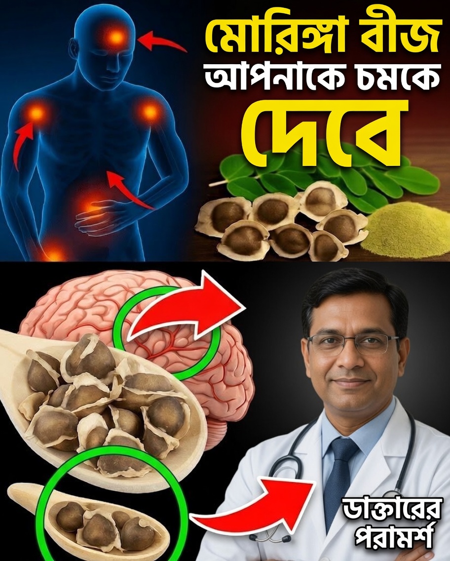 কেন মোরিঙ্গা বীজ আপনার স্বাস্থ্যের জন্য একটি লুকানো ধনভাণ্ডার