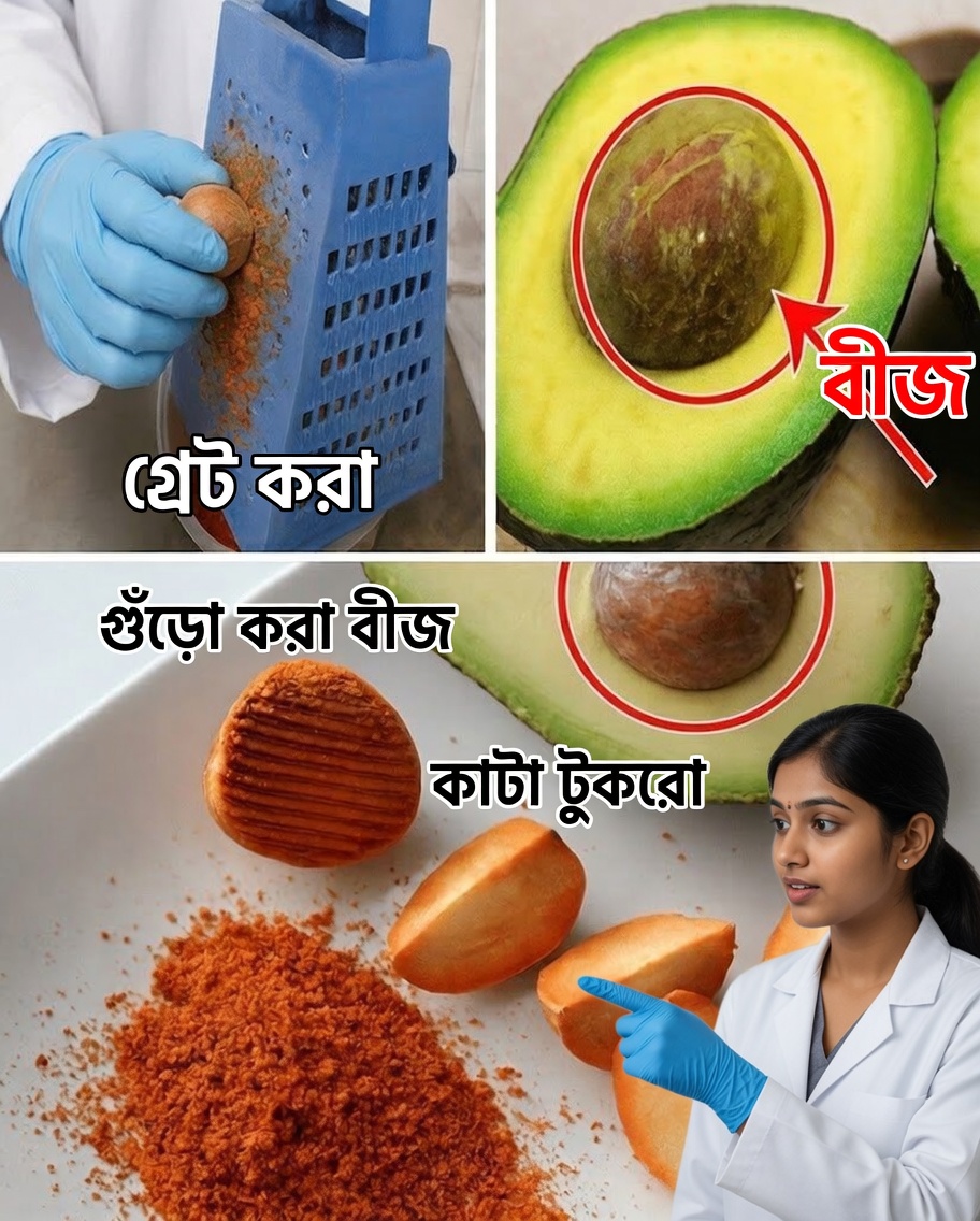 অ্যাভোকাডোর আঁটি: ভুলে যাওয়া পুষ্টিগুণের ধনভাণ্ডার