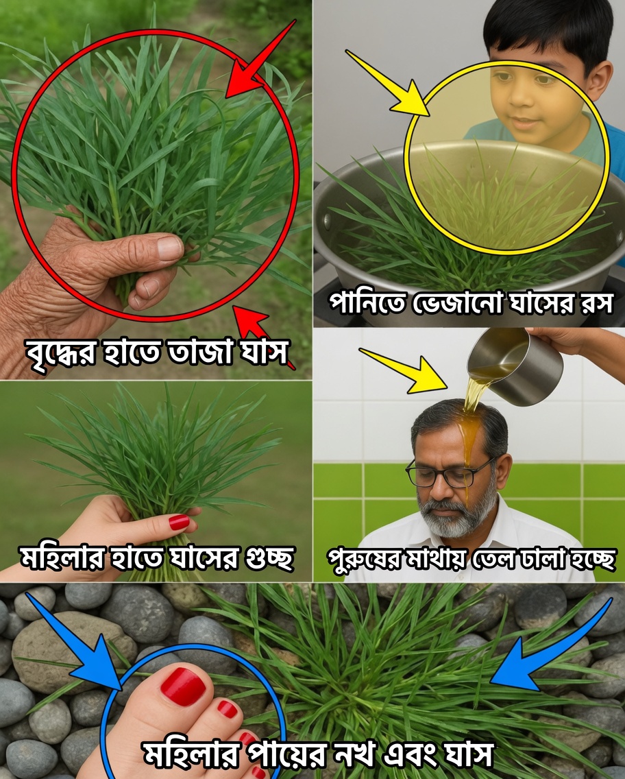 ক্যাপিম-পে-দে-গালিনহা: সাধারণ আগাছা থেকে প্রাকৃতিক নিরাময়ের মূল্যবান ধন