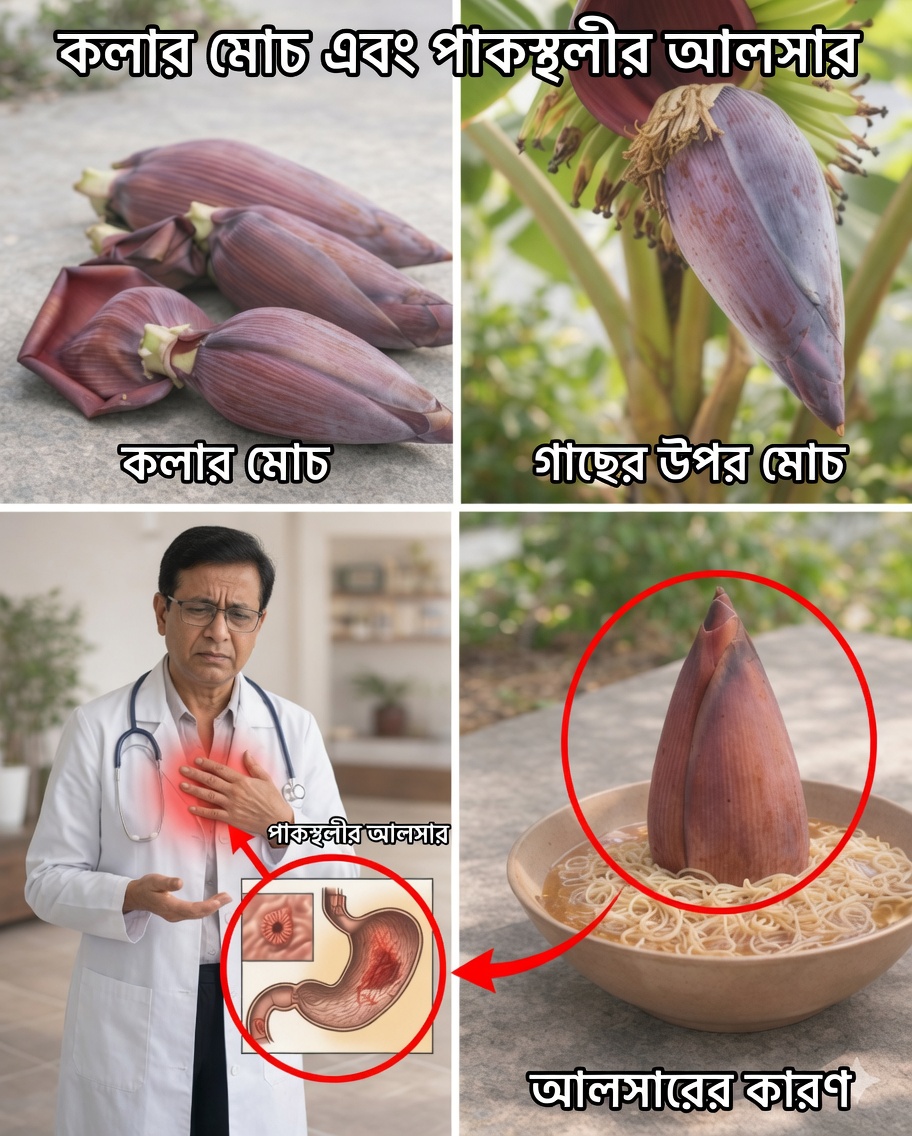 স্বাস্থ্যের জন্য কলাগাছের ফুলের ৭টি চমকপ্রদ উপকারিতা যা আপনার জানা দরকার